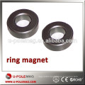 Ring magnet